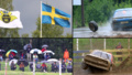 Bildextra: 25 foton från rallycross-SM i Älvsbyn