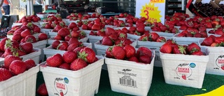 Så mycket billigare är jordgubbarna – efter midsommar