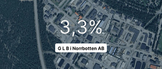 G L B i Norrbotten AB gav miljonutdelning till ägaren