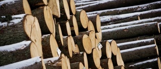Fler avsättningar av skog hotar Norrbottens framtid