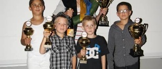 Guld och brons i gokart