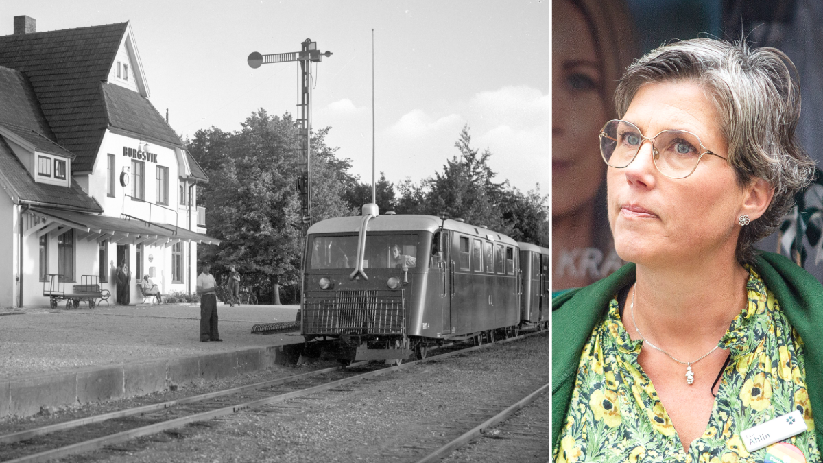 Ahlin (C) om detaljplanekritiken ”Måste alltid ta hänsyn till prickad