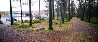 Området i Luleå som lockar byggaktörer