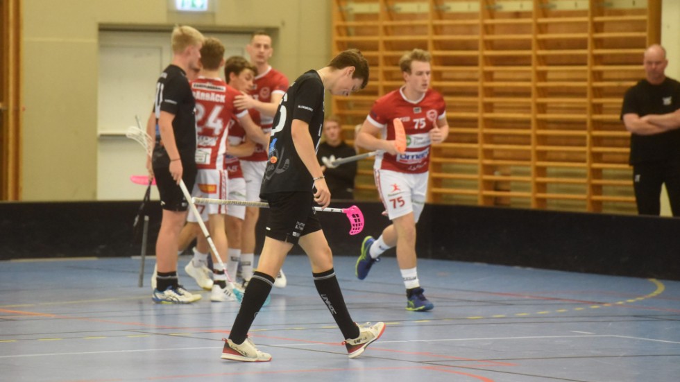 Vimmerby IBK föll i säsongens sista seriematch på hemmaplan. 