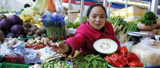 Lägre konsumentpriser i Kina