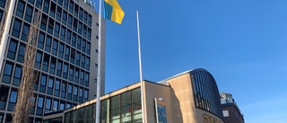 Luleå flaggar för Ukraina – på självständighetsdagen