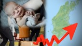 Rekordstor befolkningsökning på Gotland • GRAFIK: ✓ Födda ✓ Döda ✓ In- och utflyttade