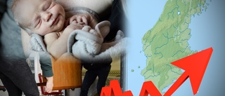 Rekordstor befolkningsökning på Gotland • GRAFIK: ✓ Födda ✓ Döda ✓ In- och utflyttade