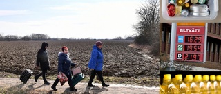 Bostäder till ukrainare och stödköp av olja – så förbereder sig Katrineholm för krigets konsekvenser