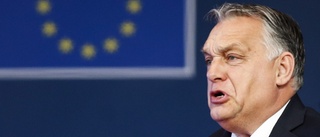 Ungerns opposition behöver Europas stöd
