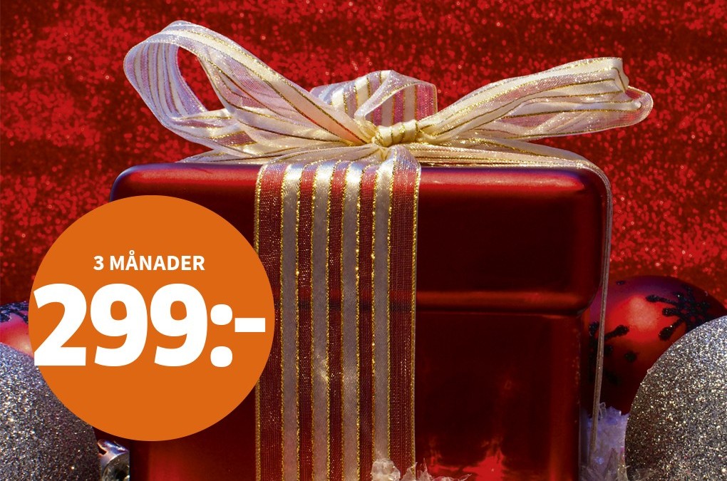 Ge Bort Get I Julklapp 2025 Binni Goldina