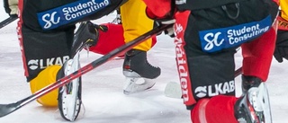 Luleå Hockey-spelare slog ordningsvakt i ansiktet – döms för våld mot tjänsteman