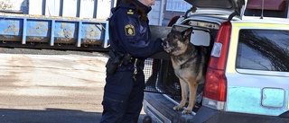 Hundförare: ”Självklart ska Skellefteå ha patrullhundar”