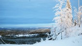 Norsjö vill vända trenden med ny vision