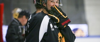 AIK:are aktuell för NHL