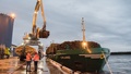 Trycket på Kalix hamn ökar – nu krävs utbyggnad • "Läget akut"