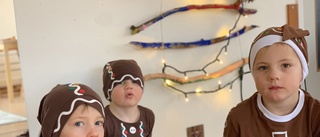 Förskolebarnens tankar om jultomten: "Han behöver åka supertidigt"