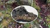 14 kilo tung meteorit hittad