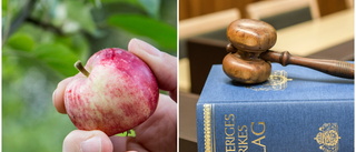 Tre döms efter äppelkastning