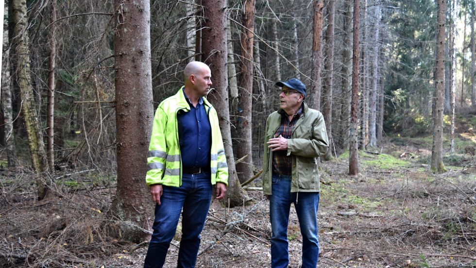 Eons skog- och markansvarig Jonas Nilsson och markägaren Weine Gustavsson är samstämmiga om att de märkta träden, som angripits av barkborrar, måste avlägsnas snarast. 