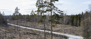 Svenskt skogsbruk är inte hållbart