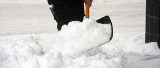 Snön lyser vit på fur och gran