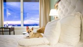 Hundrummen fullbokade på Arlandahotellet