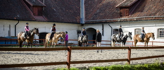 Hästarna måste flyttas när stalltaket renoveras
