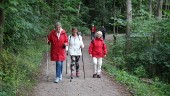 Walk and talk – coronasäker senioraktivitet