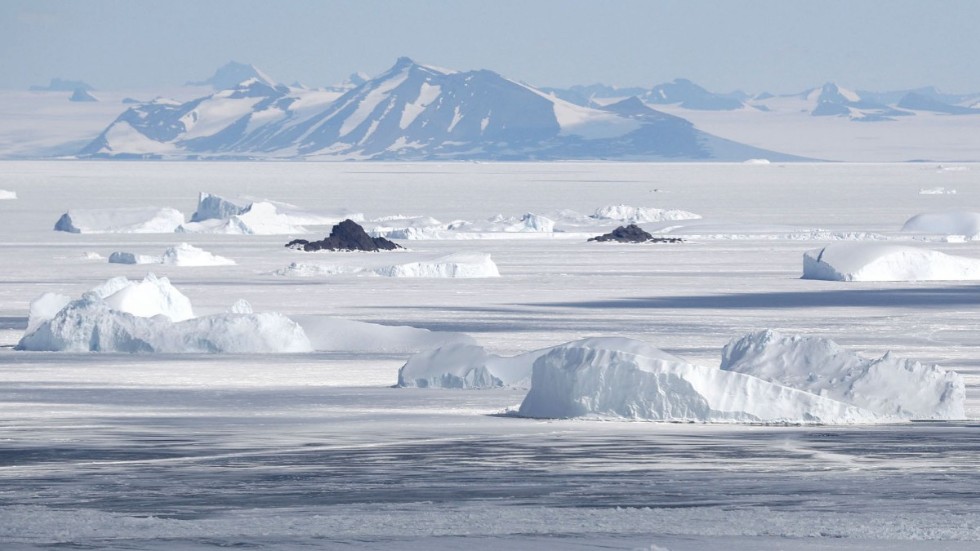 Det tar ungefär tio dagar för en vattenståndshöjning på grund av glaciärsmältning i Antarktis, Sydpolen, att nå kustområden i Sverige och andra länder i Europa, lie kortare tid i kustområden i västra USA och Kanada, skriver Per Almgren. Arkivbild.