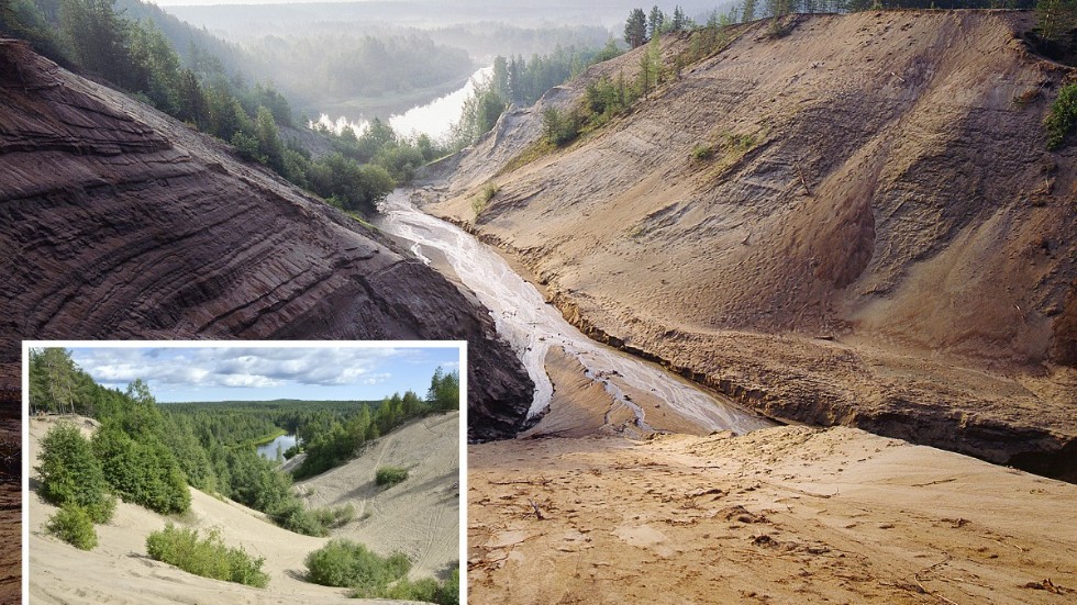 Den stora bilden visar Marranäsvältan i sin ursprungsform med naturlig erosion, den infällda bilden visar hur förbuskningen har tagit fart. 