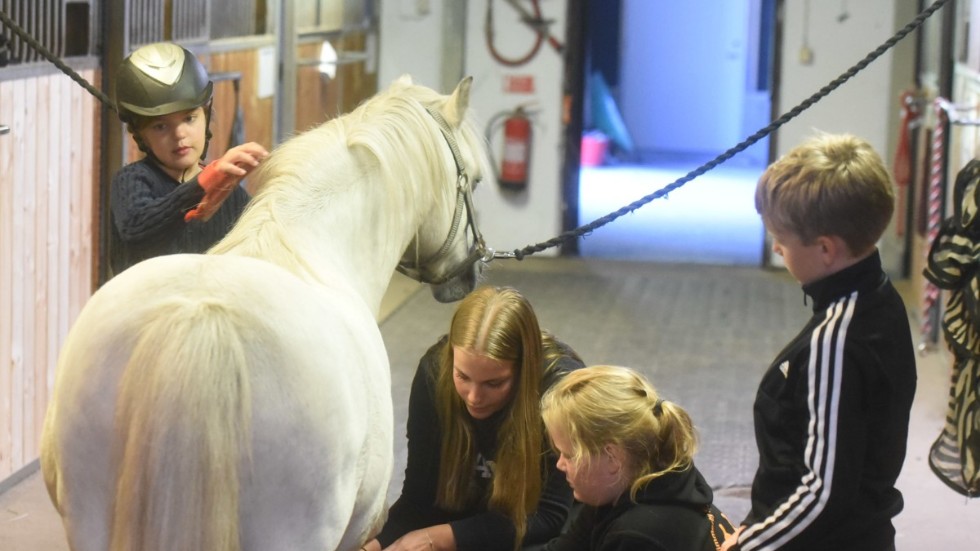 Isabella Stefansson visar hur man kratsar en hov för Lukas Forsberg Eklund, Selma Carlsson och Olivia Karlsson. 