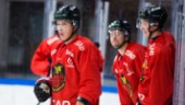 Ilomäki lämnar Luleå Hockey - klar för seriekonkurrent