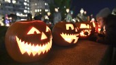 Bus eller godis – Skicka in dina Halloweenbilder
