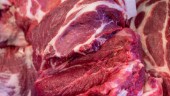 Köttstölder avslöjar samhällets misslyckande