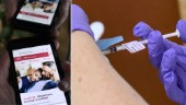 Bokningskaos för covidvaccination i Västerbotten – teknikstrul och slut tider: ”Med facit i hand skulle vi ha väntat en vecka eller två”