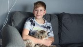 Kattmiraklet: Finduz kom hem – efter ett halvår
