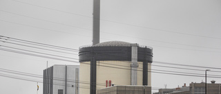 Bygg kärnkraftverk i Norra Svartbyn