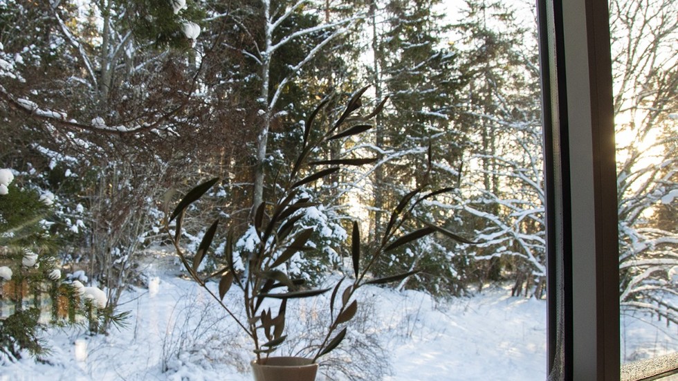 En känsla av medelhavssemester inne, vacker svensk vinter ute.