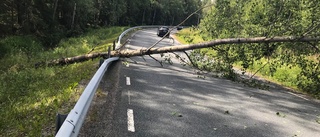 Flera träd över vägar i helgen – vägräcke skadat