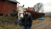 Josefin, 27, är hästarnas friskvårdscoach