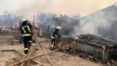 Nio döda i skogsbränder i östra Ukraina