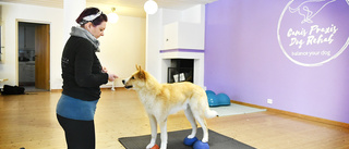 Alexandra startar rehabcenter för hundar i Jörn: ”Jag stressar aldrig fram min relation med hunden”