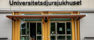 30 miljoner till Universitetsdjursjukhuset