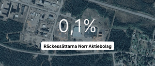 Räckessättarna Norr Aktiebolag går nätt och jämnt plus