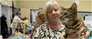 Bengalkatten Nisse skeptisk till jippot: ”Trivs bäst med hundar!”