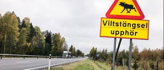 Viltstängsel skjuts upp igen