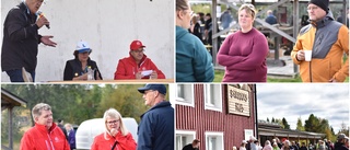 Malåpolitiker grillades på mässa i Rökå • Simhall och vindkraft några ämnen som kom upp • ”Jobben finns men bostäder behövs”