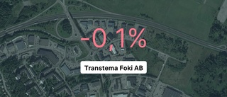 Omsättningen tar fart för Transtema Foki AB - steg med 30,4 procent