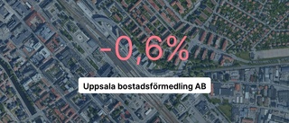 Omsättningen tar fart för Uppsala bostadsförmedling – steg med 30,8 procent